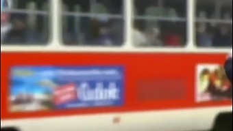 Catarina Hartlova Wordt Gestreeld In Een Volle Bus